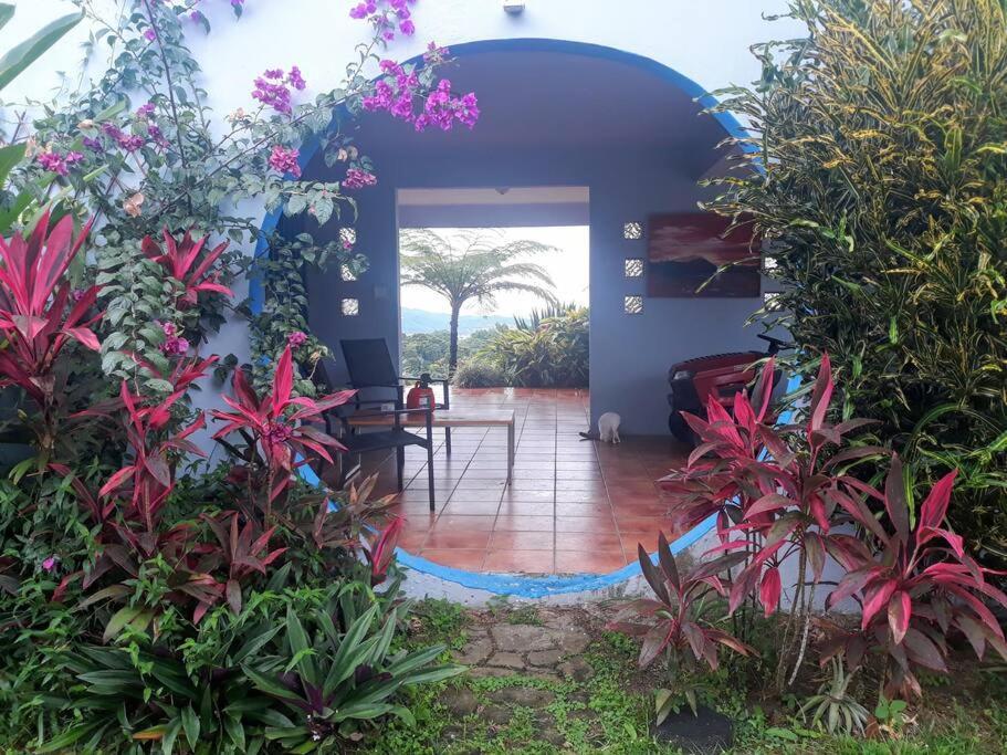 Swim & Paint Art Retreat Daire Las Piedras Dış mekan fotoğraf