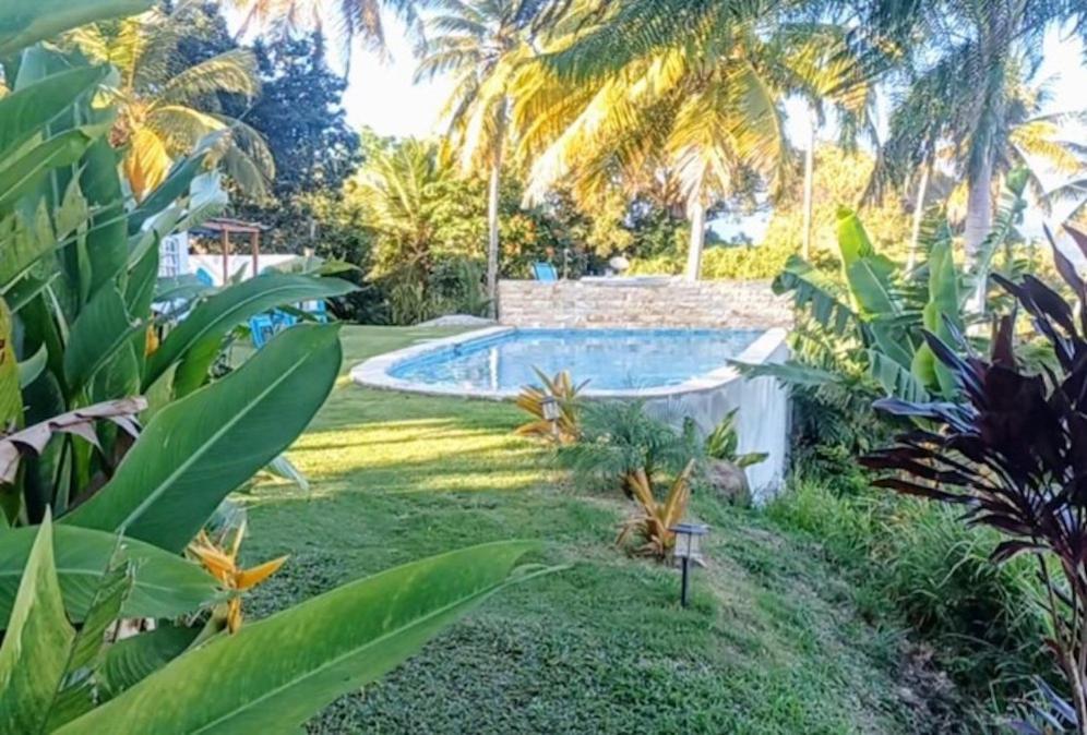 Swim & Paint Art Retreat Daire Las Piedras Dış mekan fotoğraf